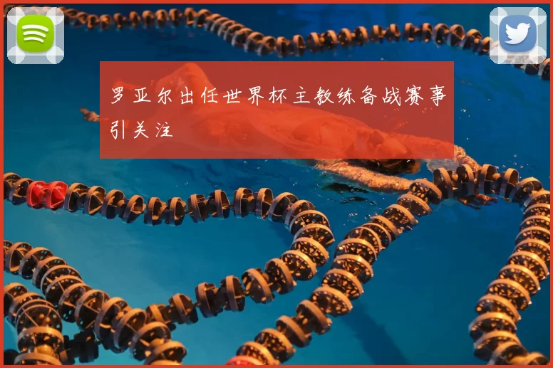 罗亚尔出任世界杯主教练备战赛事引关注
