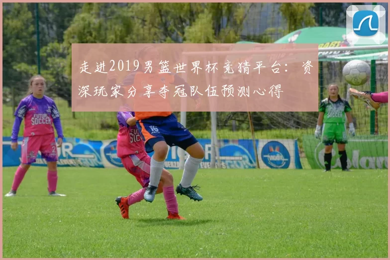 走进2019男篮世界杯竞猜平台：资深玩家分享夺冠队伍预测心得