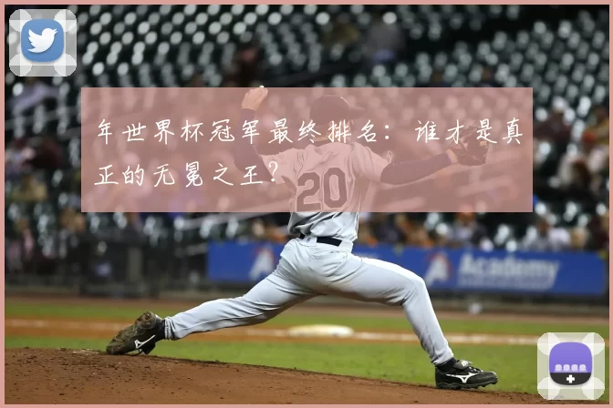 年世界杯冠军最终排名：谁才是真正的无冕之王？