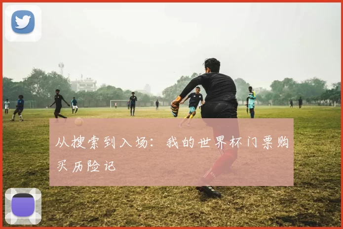 从搜索到入场：我的世界杯门票购买历险记