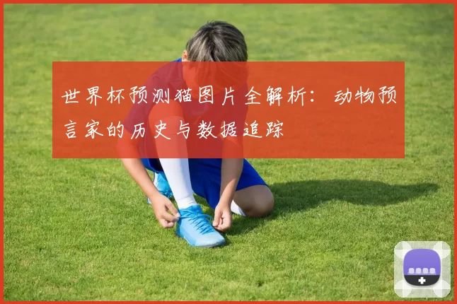 世界杯预测猫图片全解析：动物预言家的历史与数据追踪