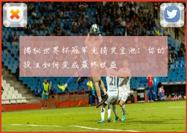 揭秘世界杯冠军竞猜奖金池:你的投注如何变成最终收益