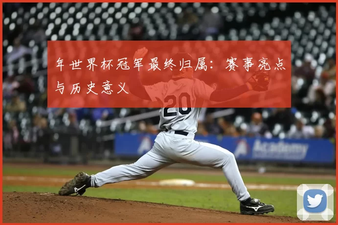 年世界杯冠军最终归属:赛事亮点与历史意义