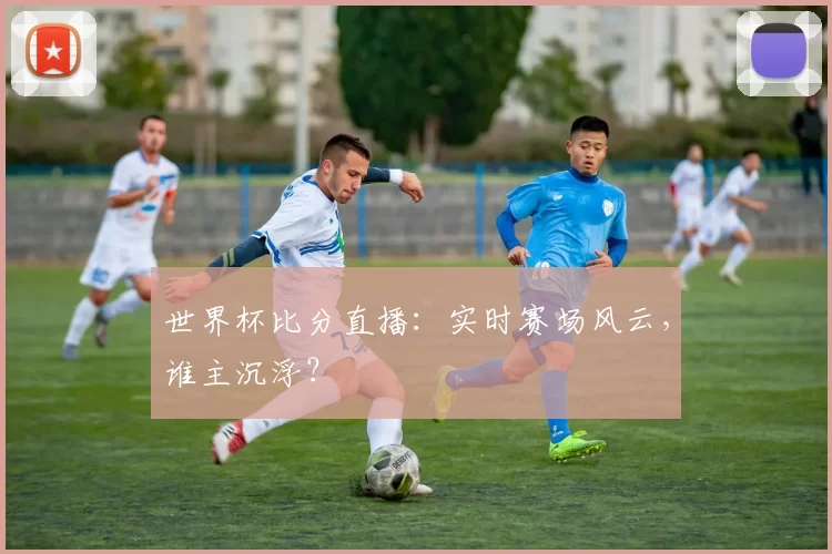 世界杯比分直播:实时赛场风云,谁主沉浮?
