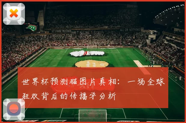 世界杯预测猫图片真相：一场全球狂欢背后的传播学分析