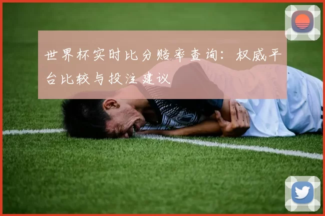 世界杯实时比分赔率查询：权威平台比较与投注建议