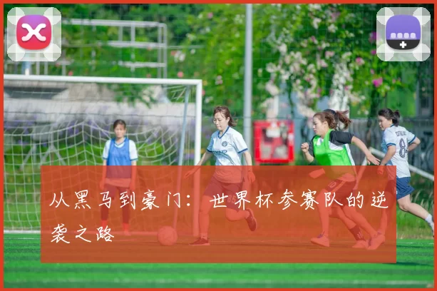 从黑马到豪门：世界杯参赛队的逆袭之路