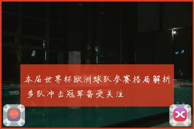 本届世界杯欧洲球队参赛格局解析 多队冲击冠军备受关注