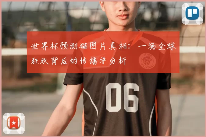 世界杯预测猫图片真相:一场全球狂欢背后的传播学分析