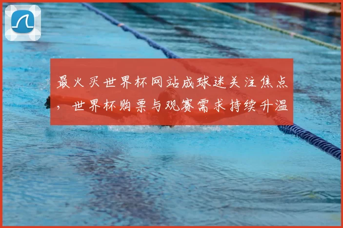 最火买世界杯网站成球迷关注焦点,世界杯购票与观赛需求持续升温