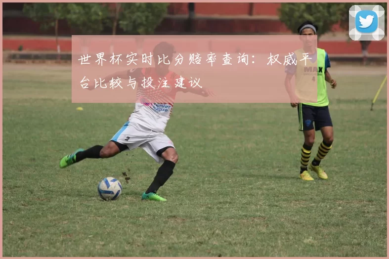 世界杯实时比分赔率查询：权威平台比较与投注建议