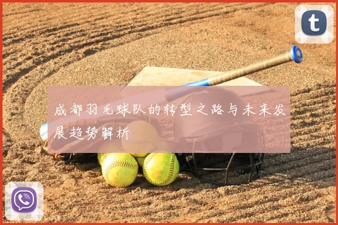 成都羽毛球队的转型之路与未来发展趋势解析