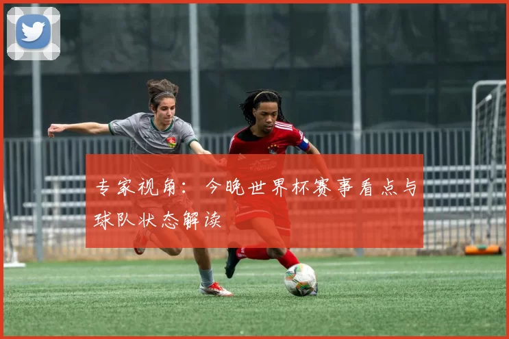 专家视角:今晚世界杯赛事看点与球队状态解读