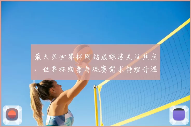 最火买世界杯网站成球迷关注焦点,世界杯购票与观赛需求持续升温