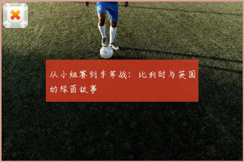 从小组赛到季军战：比利时与英国的绿茵故事