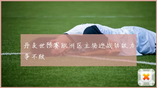丹麦世预赛欧洲区主场迎战劲敌力争不败